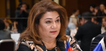 Evdar qadınların məvacib alması ilə bağlı məsələ Milli Məclisdə müzakirə ediləcək