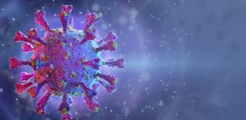 Koronavirus özü yox olacaq?.