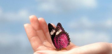 Bizi başqasının açdığı yol güclü etməyəcək