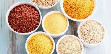 Dənli bitkilərin əhəmiyyəti