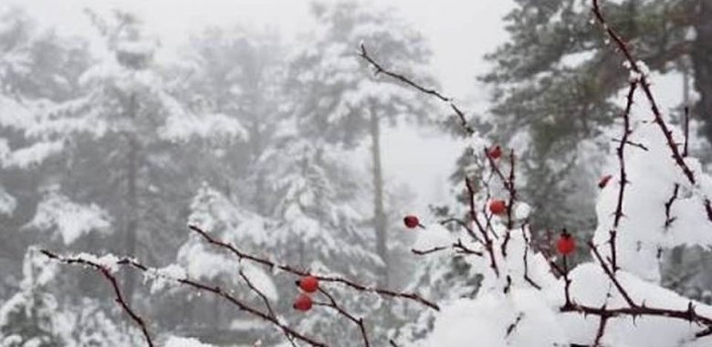 Qışın sonuncu ayı-Boz ay